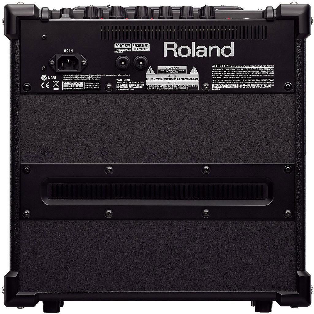 roland20gx2.jpg - а также гулкий корпус из тонкого ДСП и сзади закрытое крышкой прямоугольное отверстие на всю ширину. Несчастный звук бьётся внутри о жёсткие стенки и дребезжащий, вылетает вперёд.